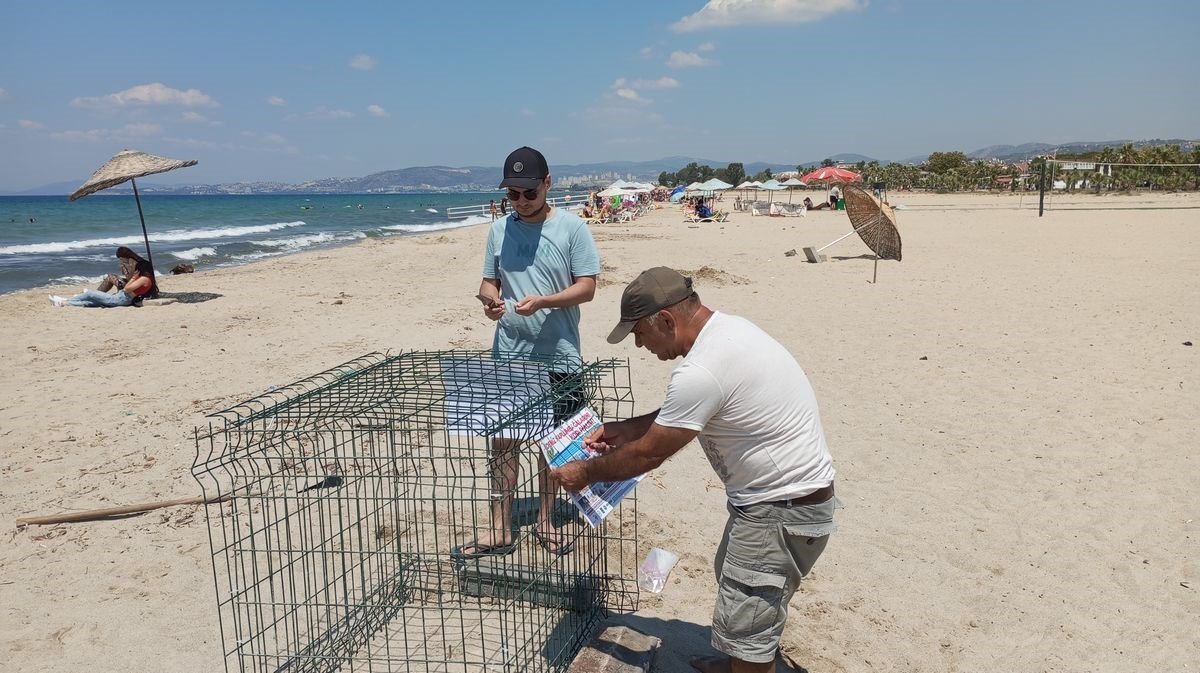 Caretta carettalar Aydın’ı sevdi