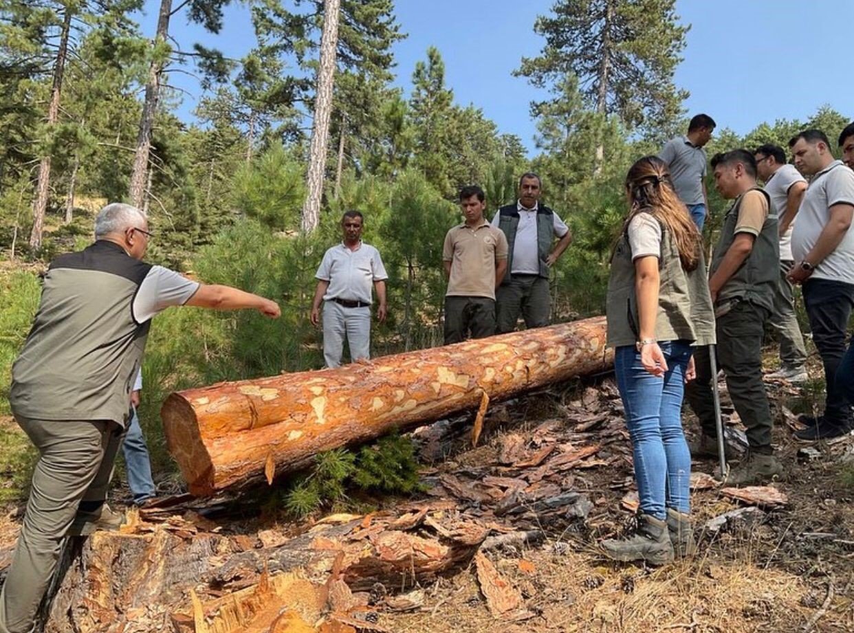 Orman yetkilileri kırsaldaki vatandaşlarla buluştu