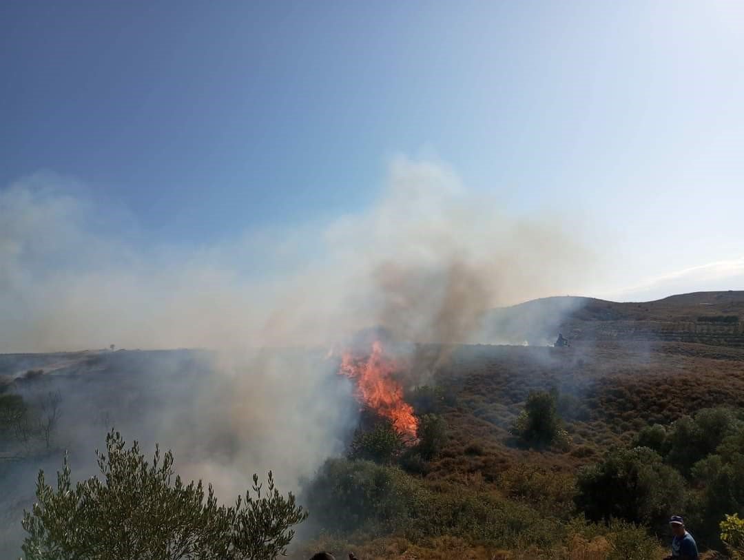 Avşa Adasında 2 günde 2 yangın çıktı
