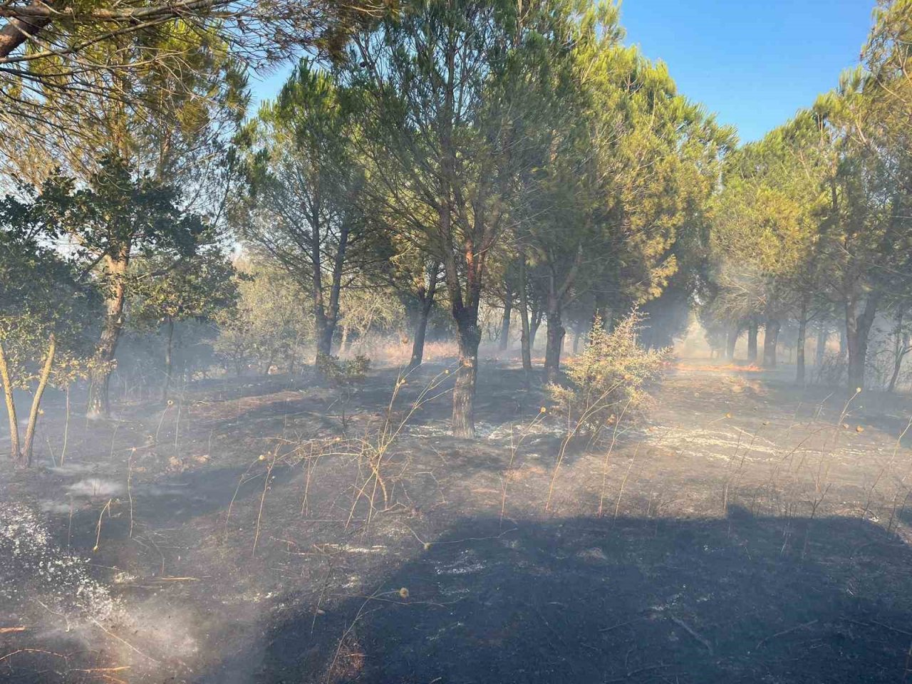 Balıkesir’de ormanlık alan yangını söndürüldü