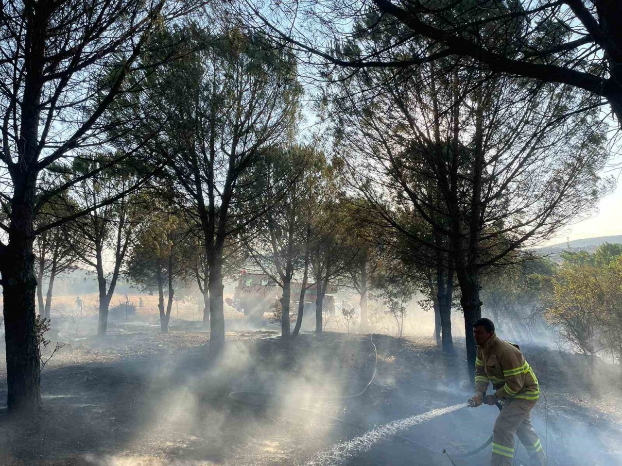 Balıkesir’de ormanlık alan yangını söndürüldü