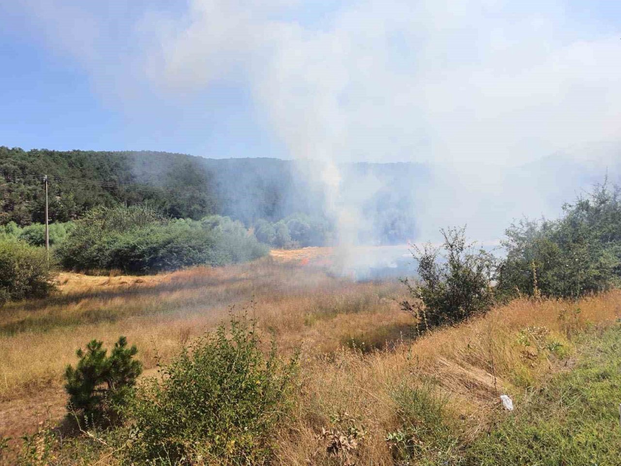 Tarla yangını ormana sıçramadan söndürüldü