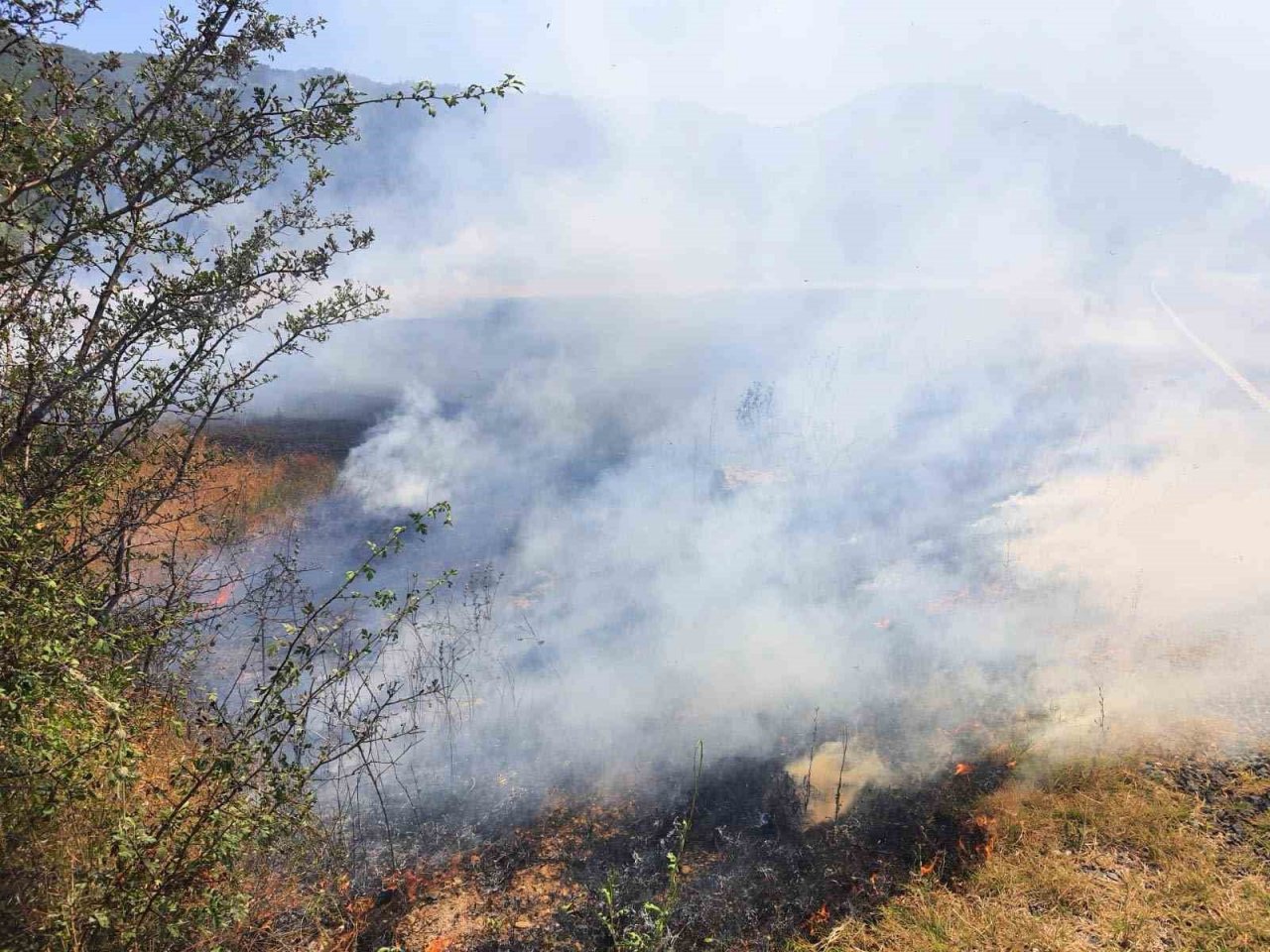 Tarla yangını ormana sıçramadan söndürüldü
