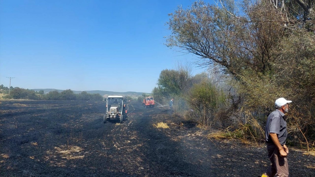 Tarla yangını ormana sıçramadan söndürüldü