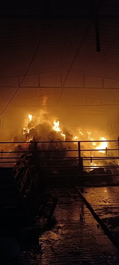 Ahırda çıkan yangında samanlar küle döndü