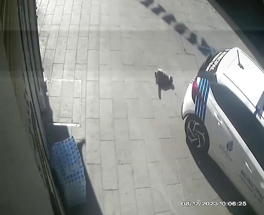 Beyoğlu’nda feci olay kamerada: İBB aracı kediyi ezip kaçtı