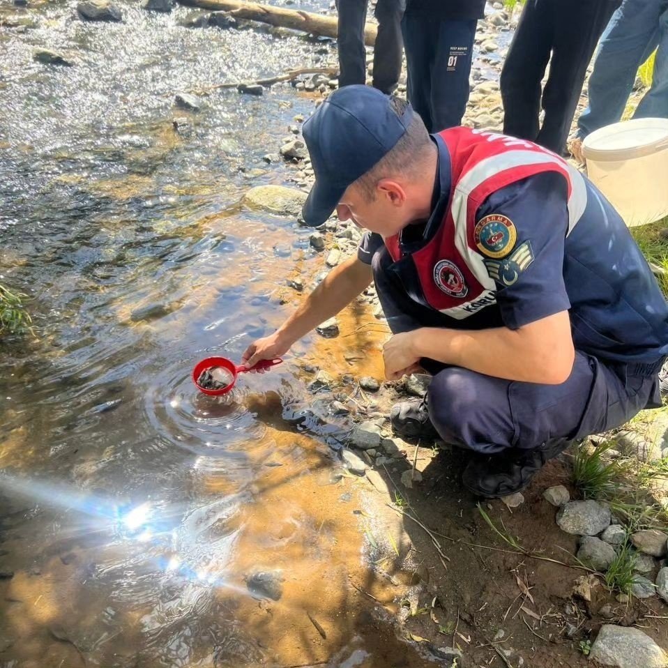 Kars’ta derelere alabalık bırakıldı