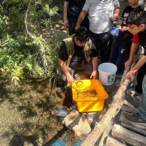 Kars’ta derelere alabalık bırakıldı