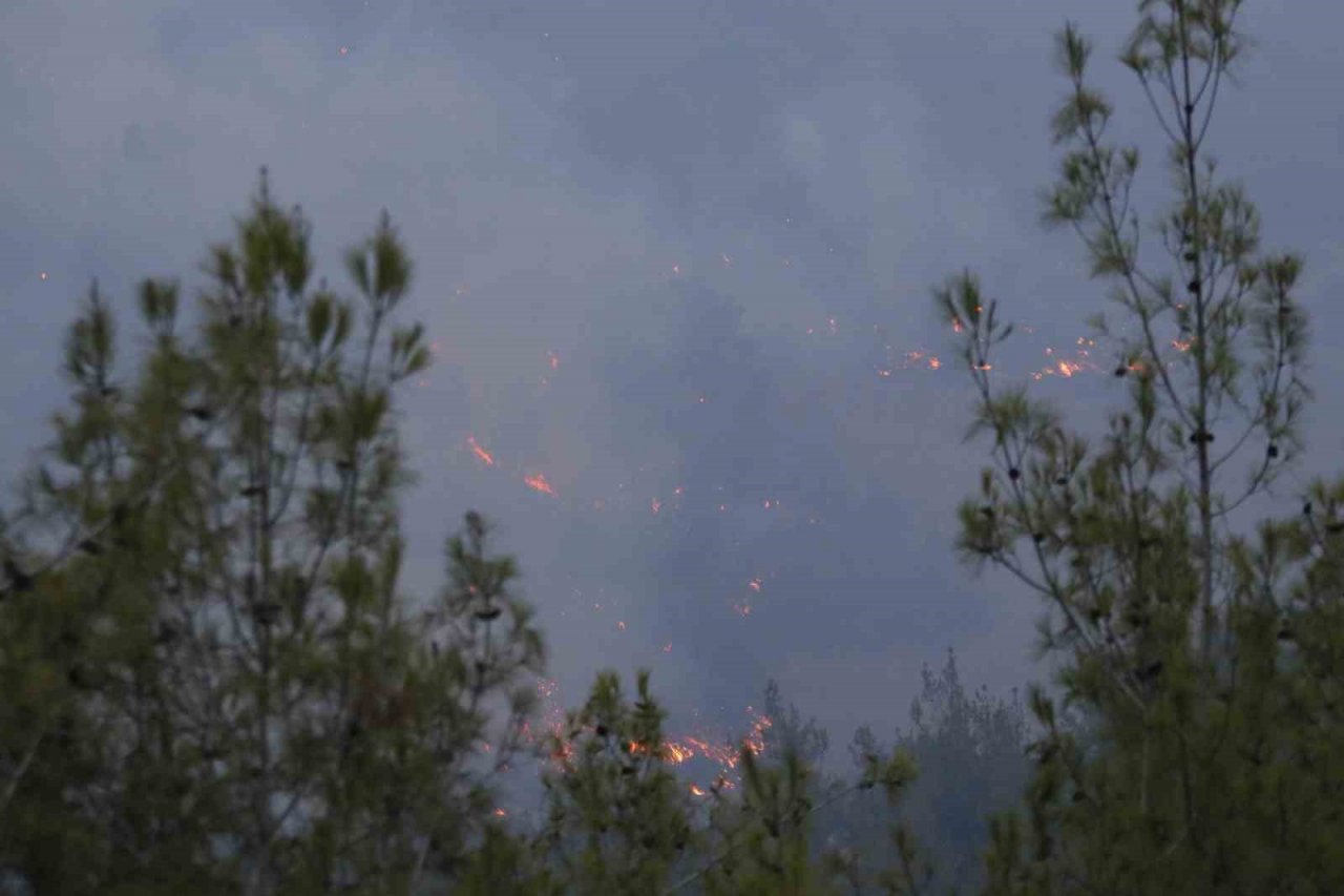 Adana’daki orman yangını devam ediyor