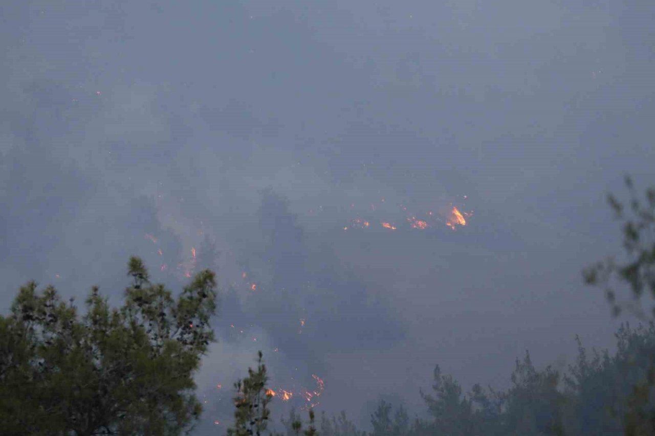 Adana’daki orman yangını devam ediyor