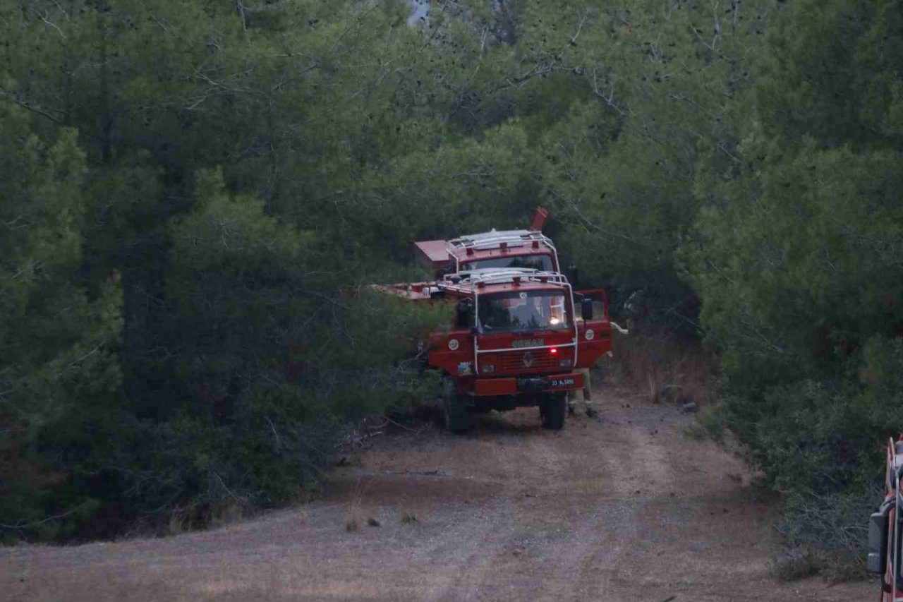 Adana’daki orman yangını devam ediyor