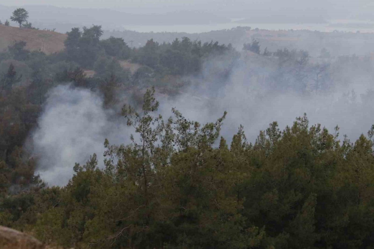 Adana’daki orman yangını devam ediyor