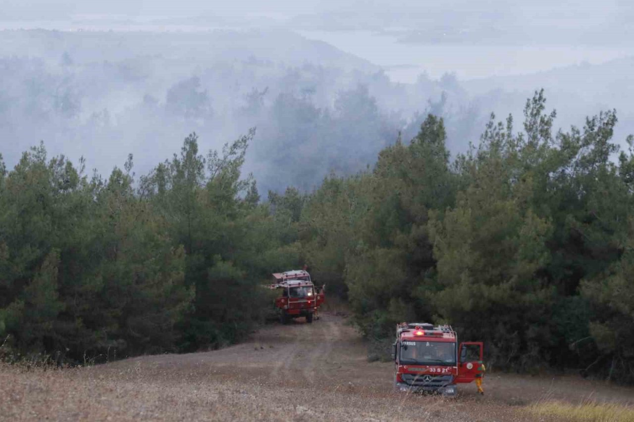 Adana’daki orman yangını devam ediyor