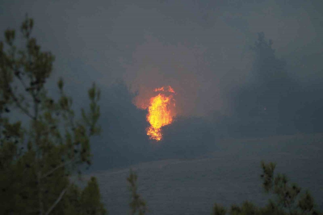 Adana’daki orman yangını devam ediyor