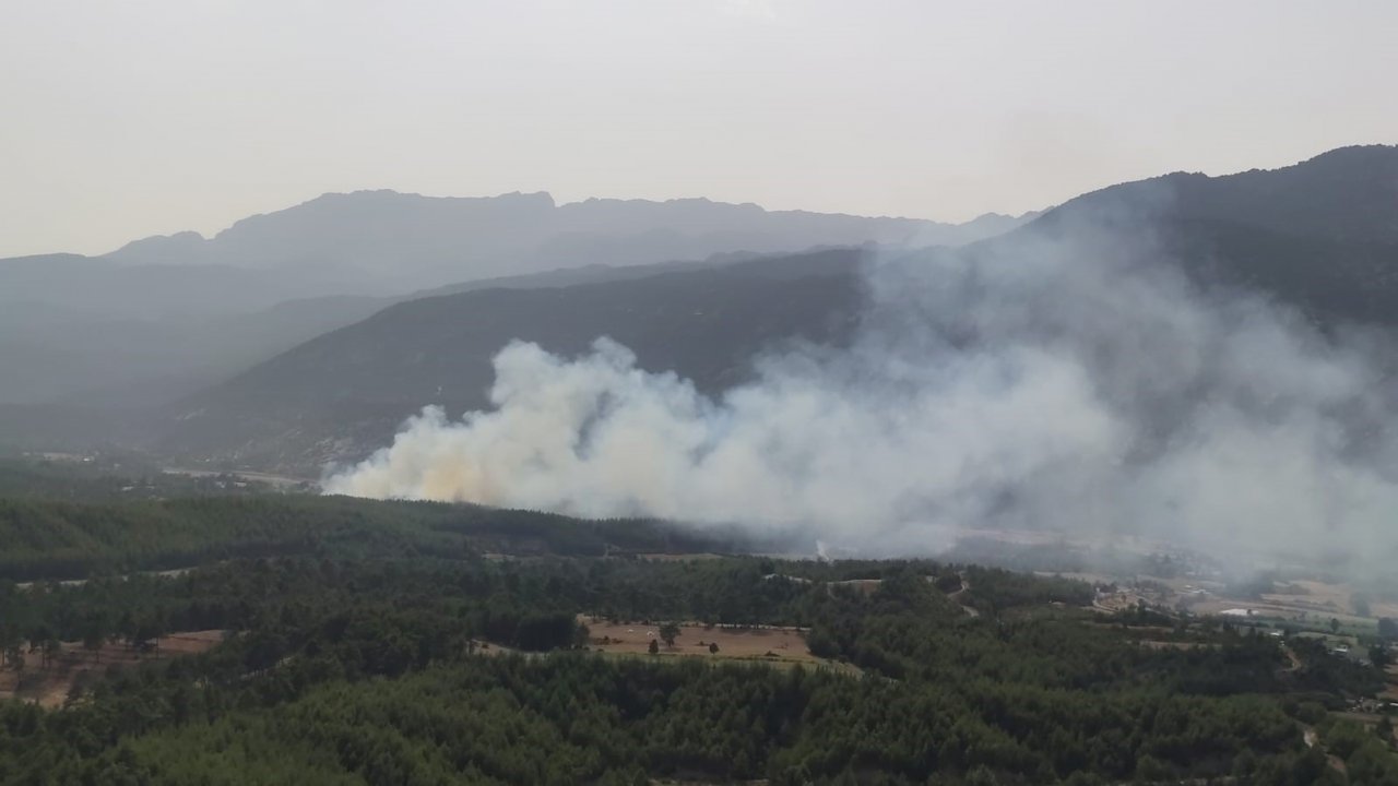 Manavgat’ta orman yangını