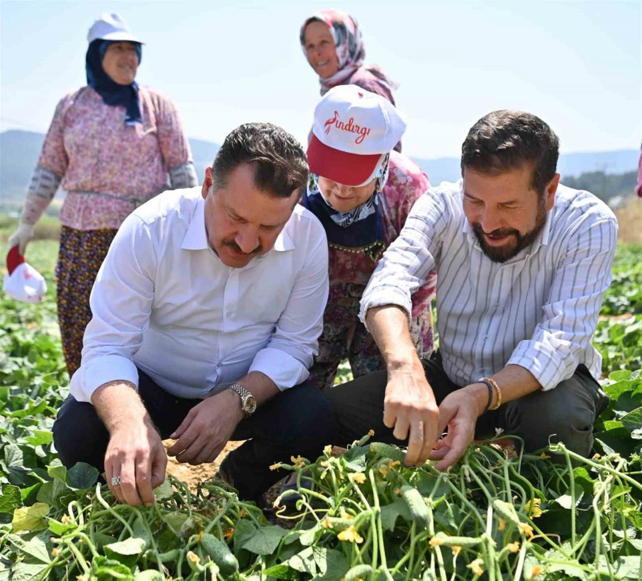 Kornişon salatası binlerce aileye ekmek kapısı oldu