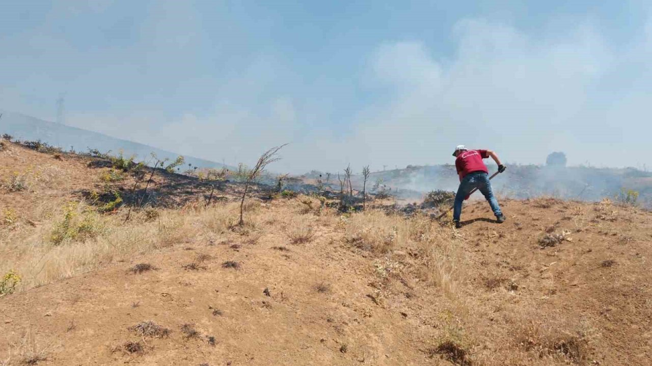 Bingöl’deki orman yangın söndürüldü