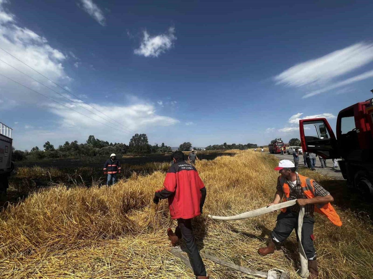 Bolu’da 24 dönümlük buğday tarlası küle döndü