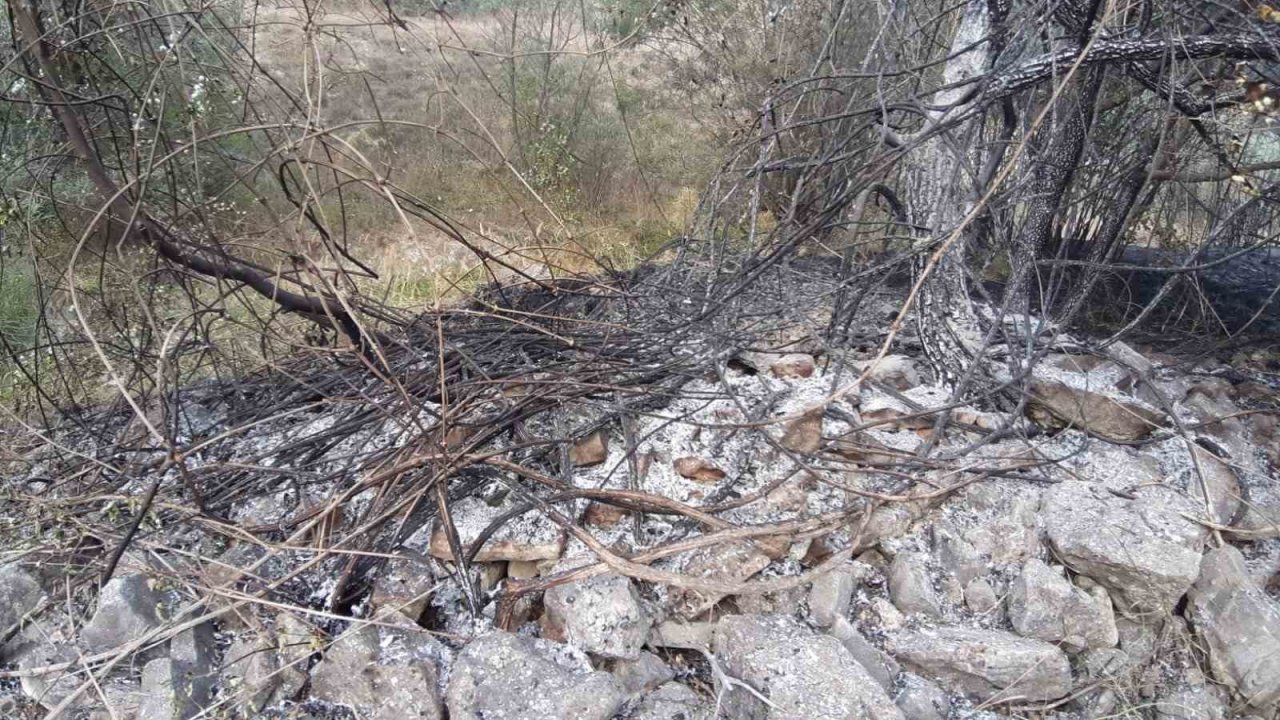 Bolu’da orman yangını köylülerin de desteğiyle söndürüldü