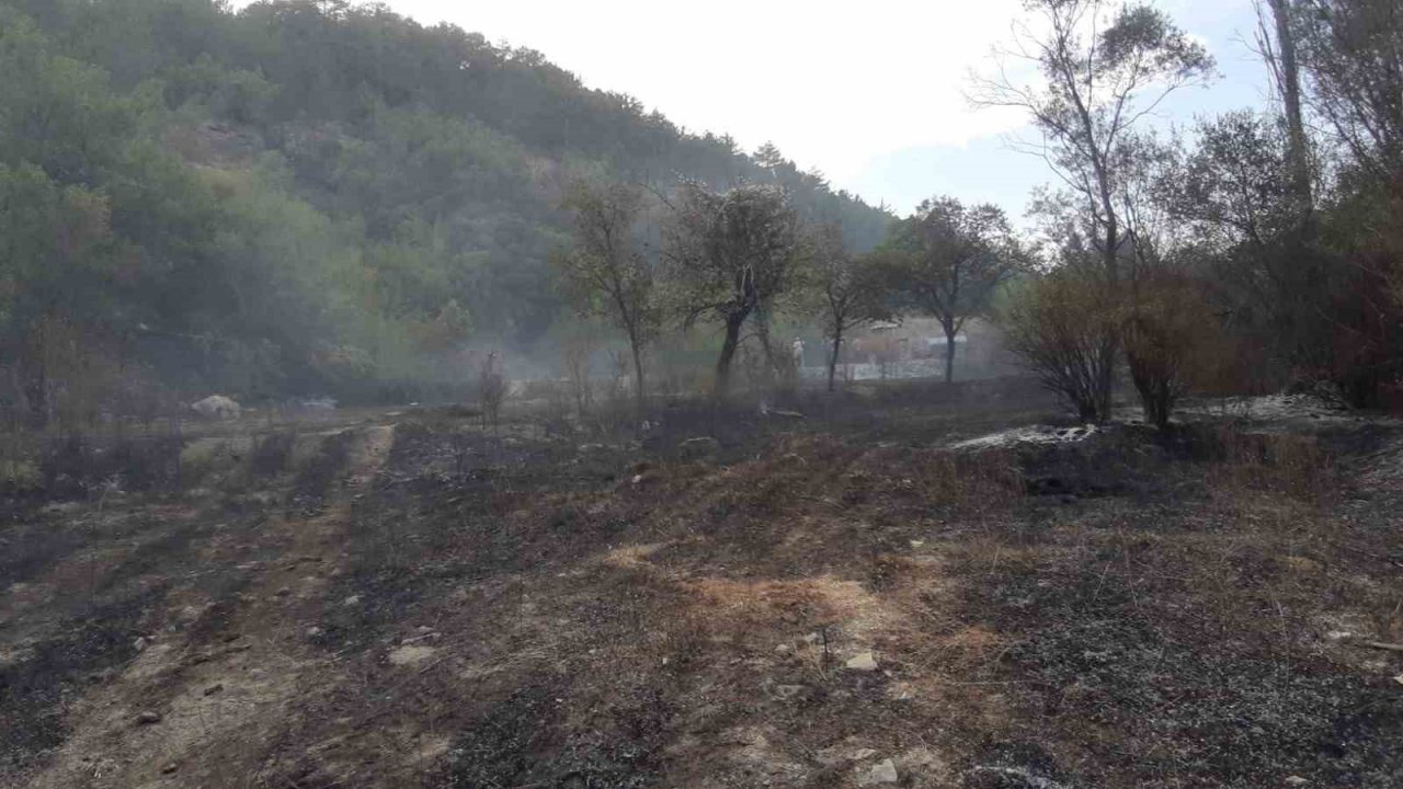 Bolu’da orman yangını köylülerin de desteğiyle söndürüldü