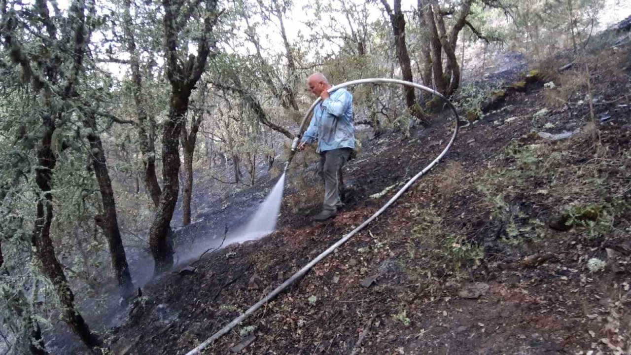 Bolu’da orman yangını köylülerin de desteğiyle söndürüldü