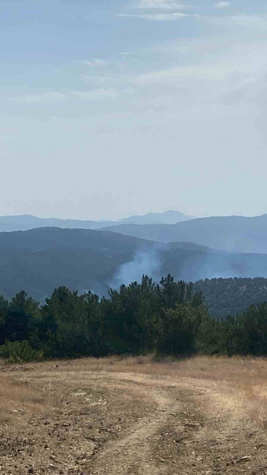 Ormanda yükselen dumanlar ekipleri harekete geçirdi