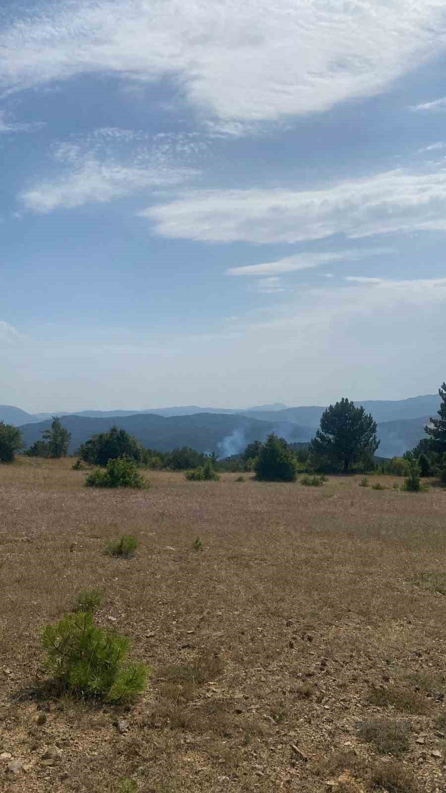 Ormanda yükselen dumanlar ekipleri harekete geçirdi