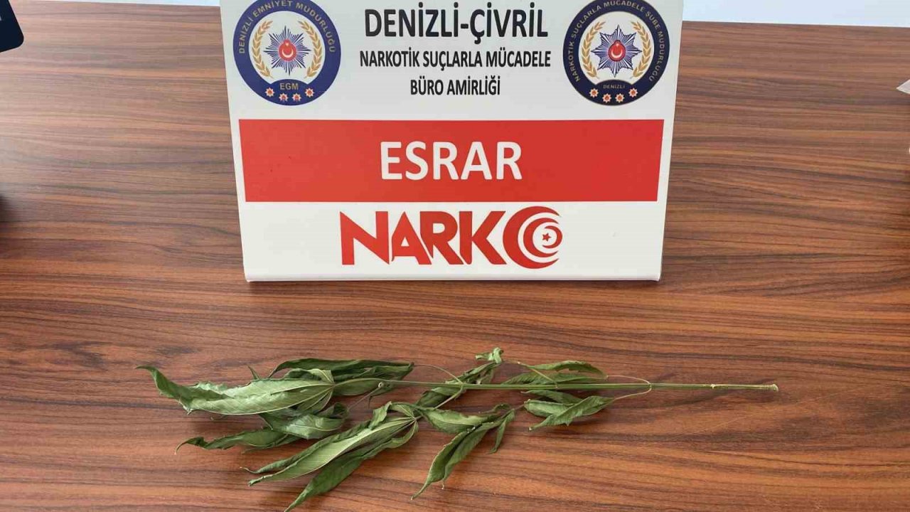 Denizli’de 6 uyuşturucu satıcısı tutuklandı