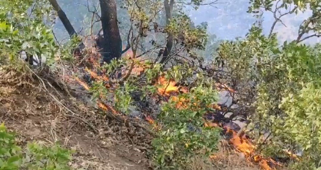 Hakkari’deki orman yangını kısmen kontrol altına alındı