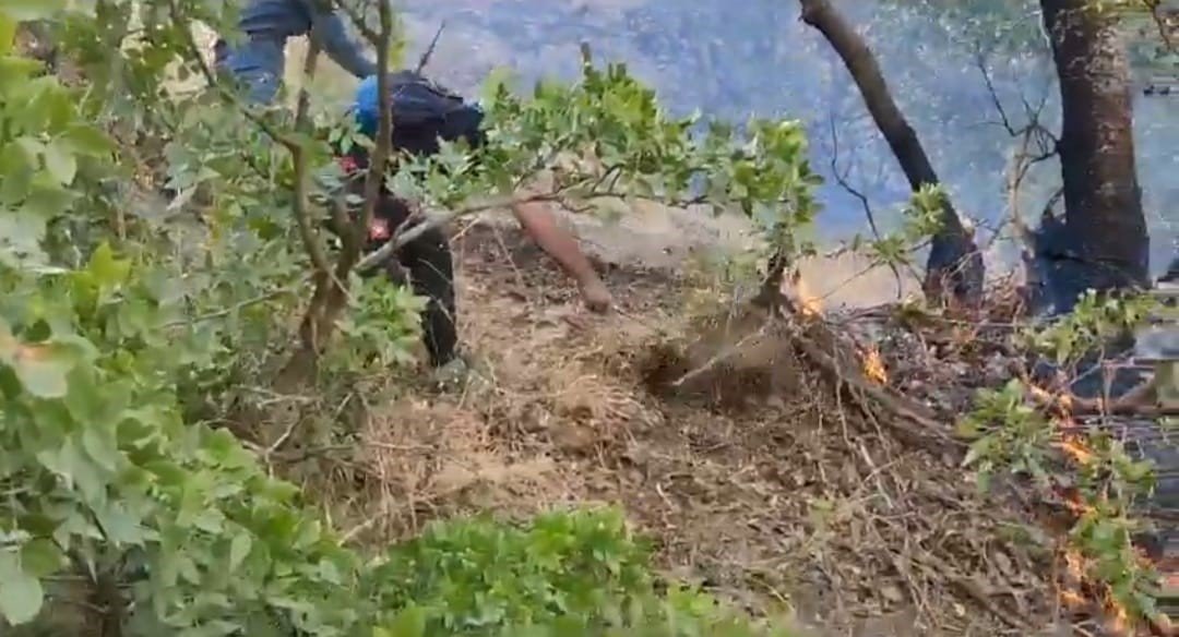 Hakkari’deki orman yangını kısmen kontrol altına alındı