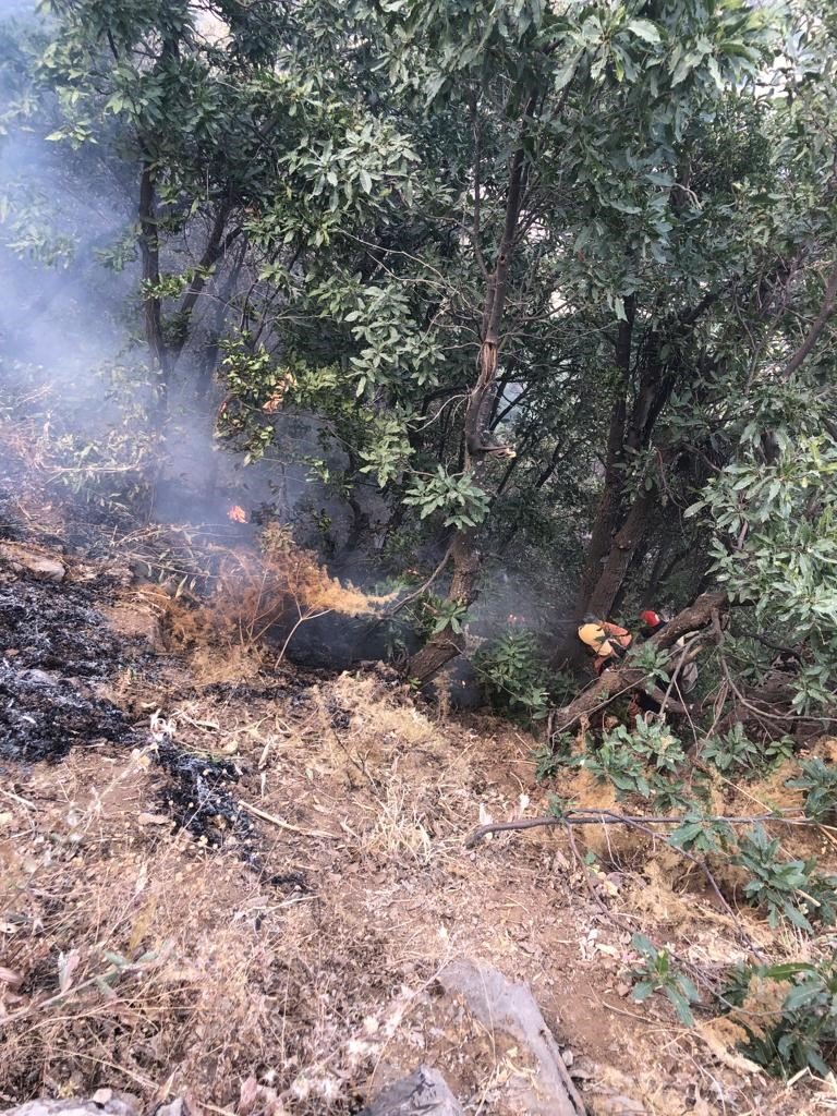 Hakkari’deki orman yangını kısmen kontrol altına alındı