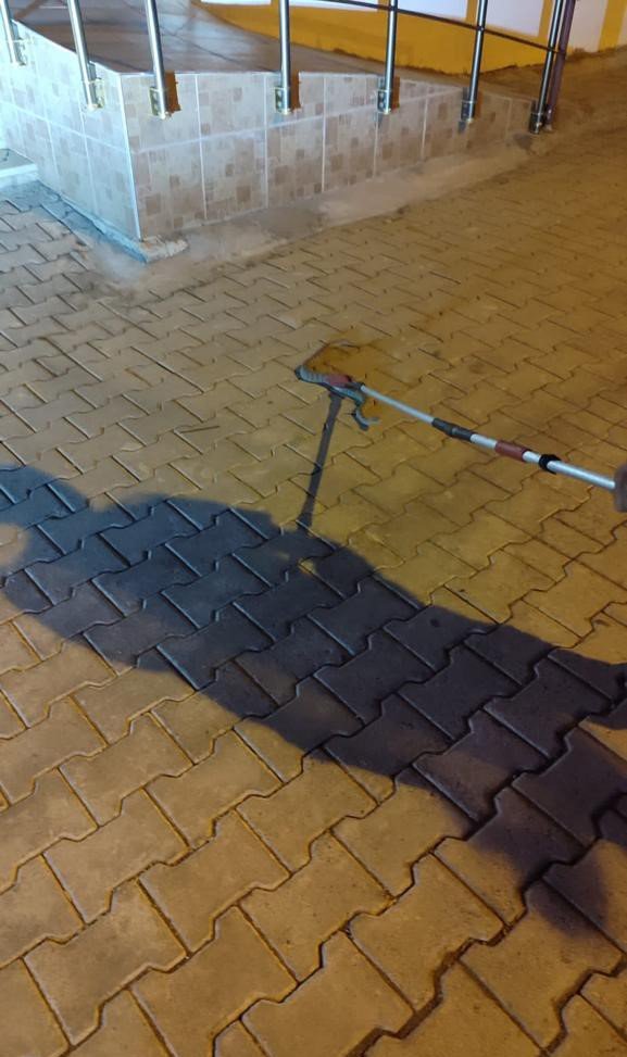 Yakalanan yılan doğal ortamına bırakıldı