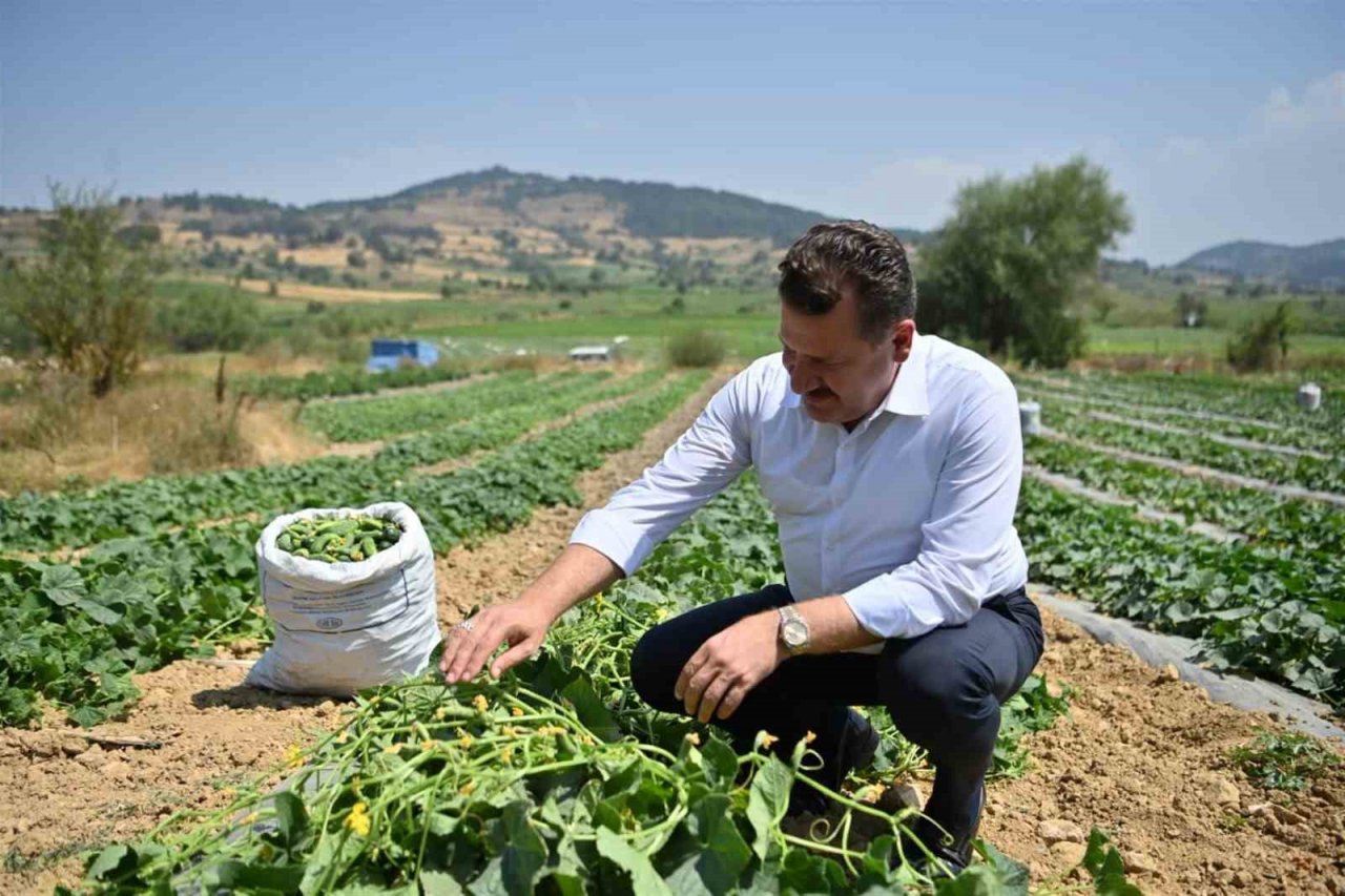 Kornişon salatası binlerce aileye ekmek kapısı oldu