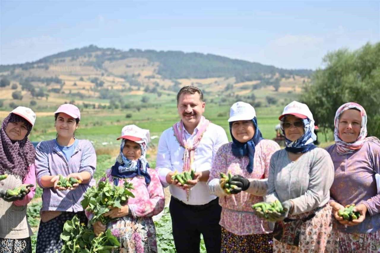 Kornişon salatası binlerce aileye ekmek kapısı oldu