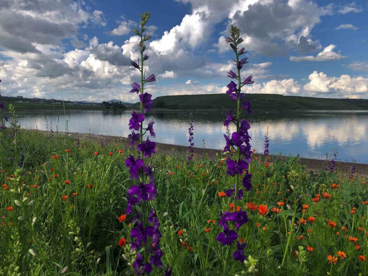 Kars Baraj Gölü’nde kartpostallık görüntüler