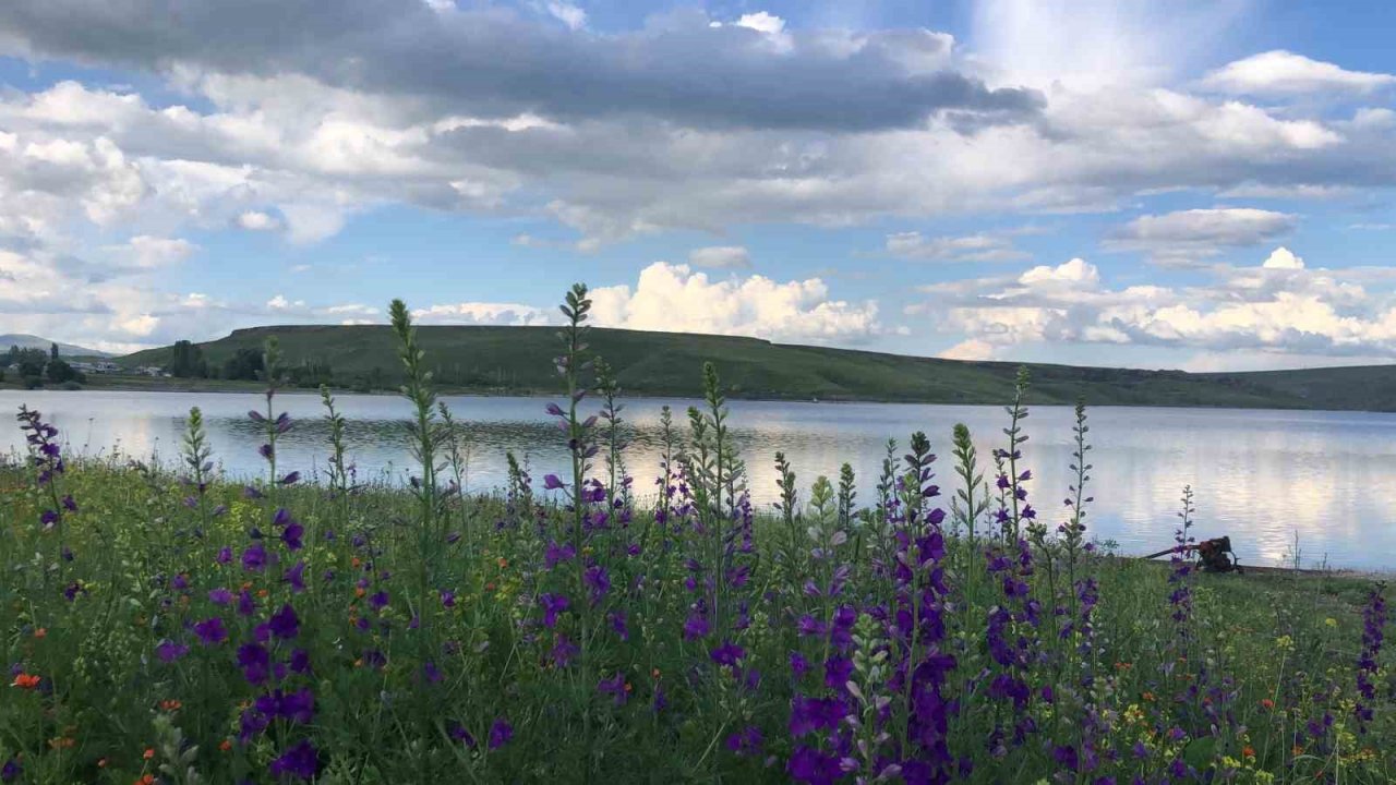 Kars Baraj Gölü’nde kartpostallık görüntüler