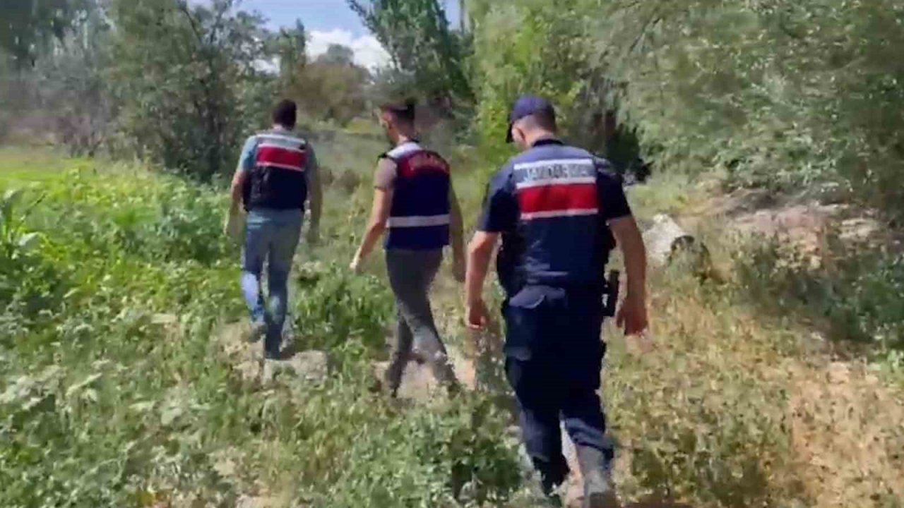 Jandarmadan mısır tarlasına "Dron" destekli uyuşturucu operasyonu: 2 gözaltı