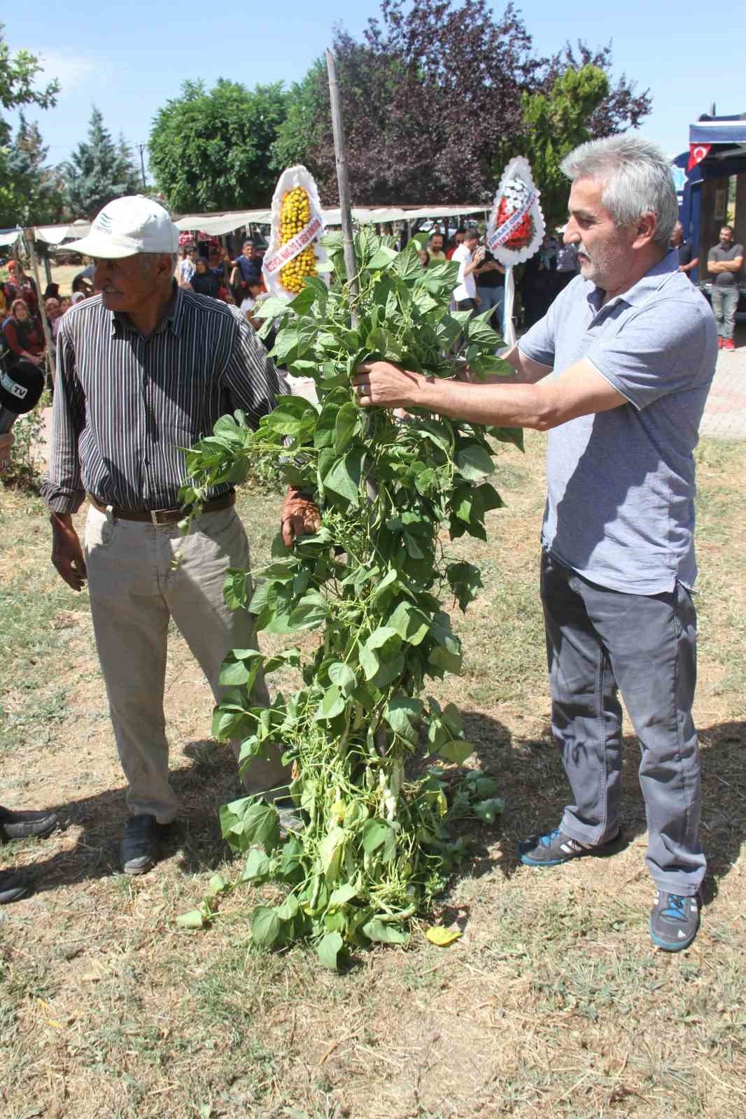 Beyşehir’de fasulye şenliği