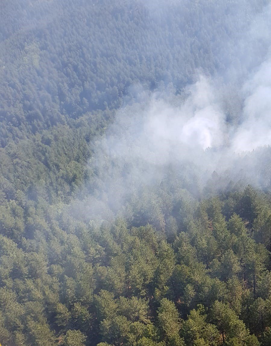 Demirci’de orman yangını