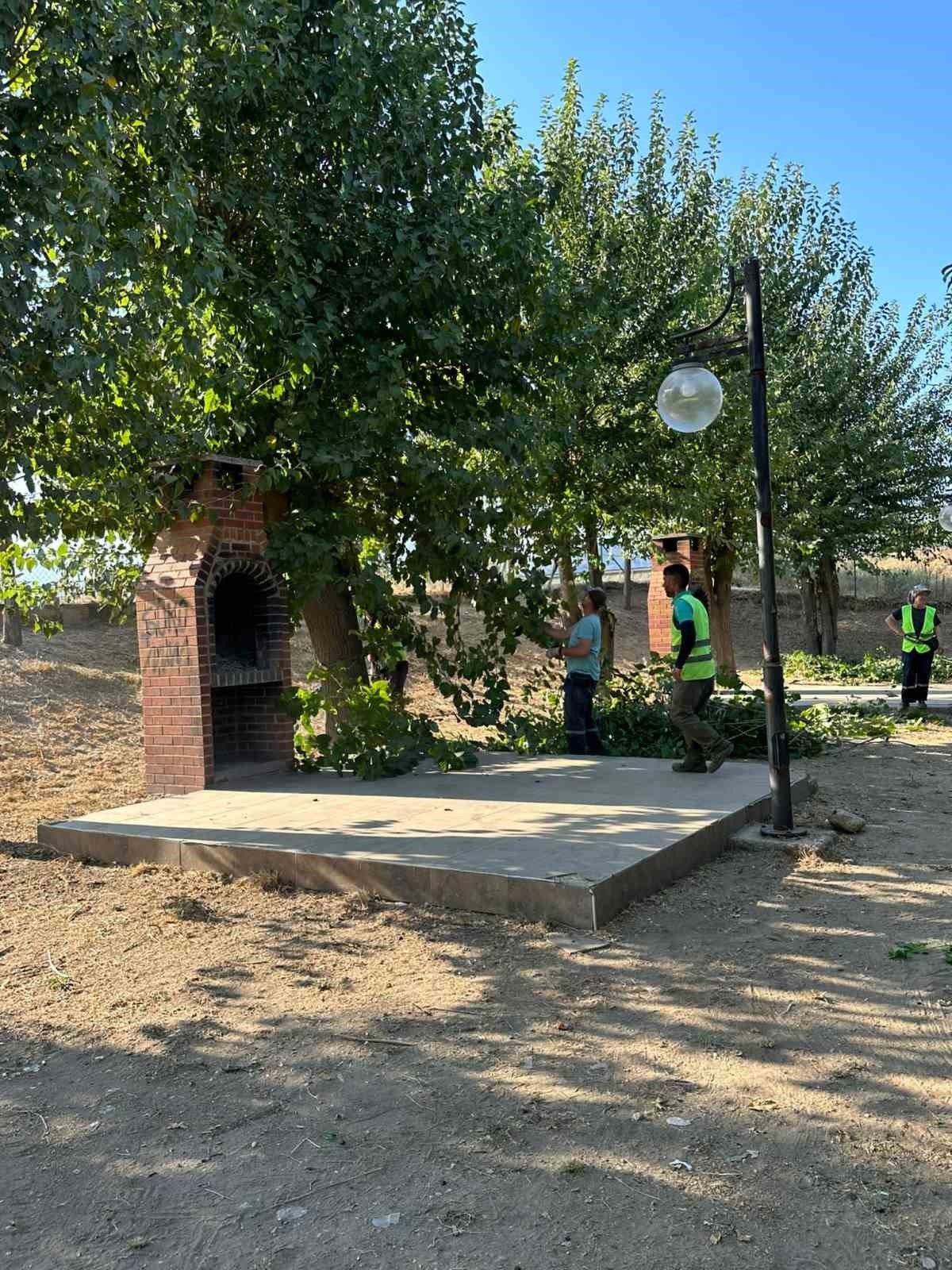 Mergen Mesire Alanı temizlendi