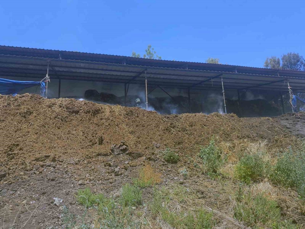 Ahır yangınında 2 büyükbaş hayvan telef oldu