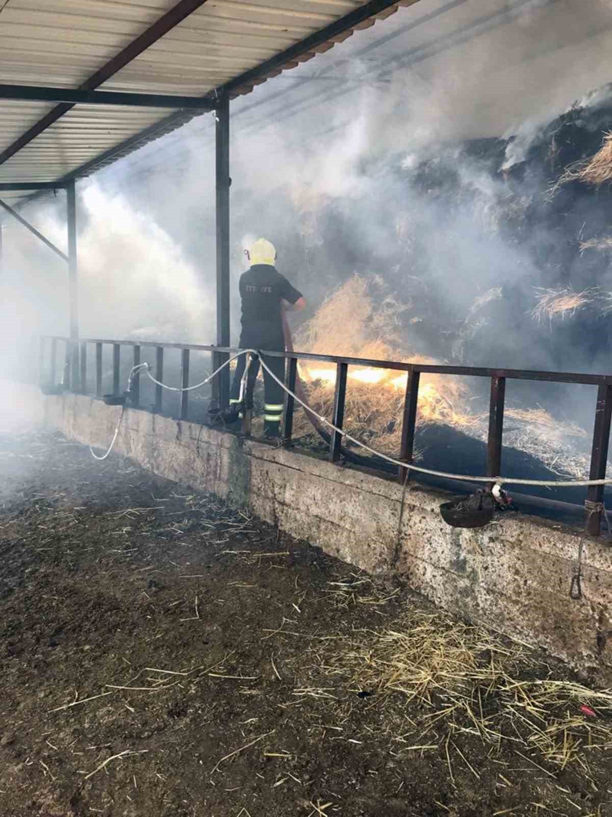 Ahır yangınında 2 büyükbaş hayvan telef oldu