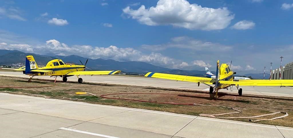 Koca Seyit, sarı kanatlara ev sahipliği yapıyor