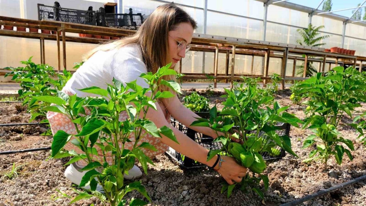 Akademik ürünlerin geliri öğrencilere burs oldu