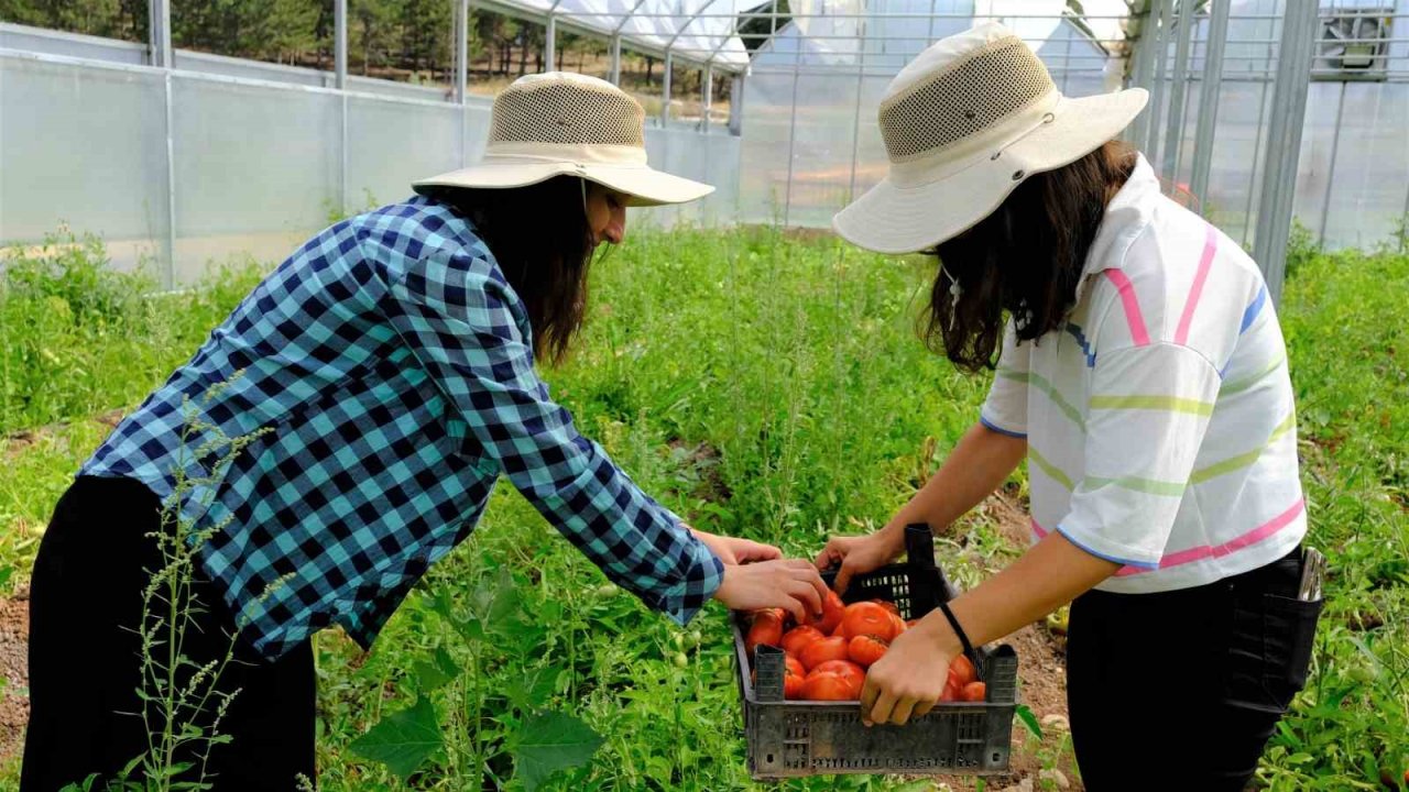 Akademik ürünlerin geliri öğrencilere burs oldu