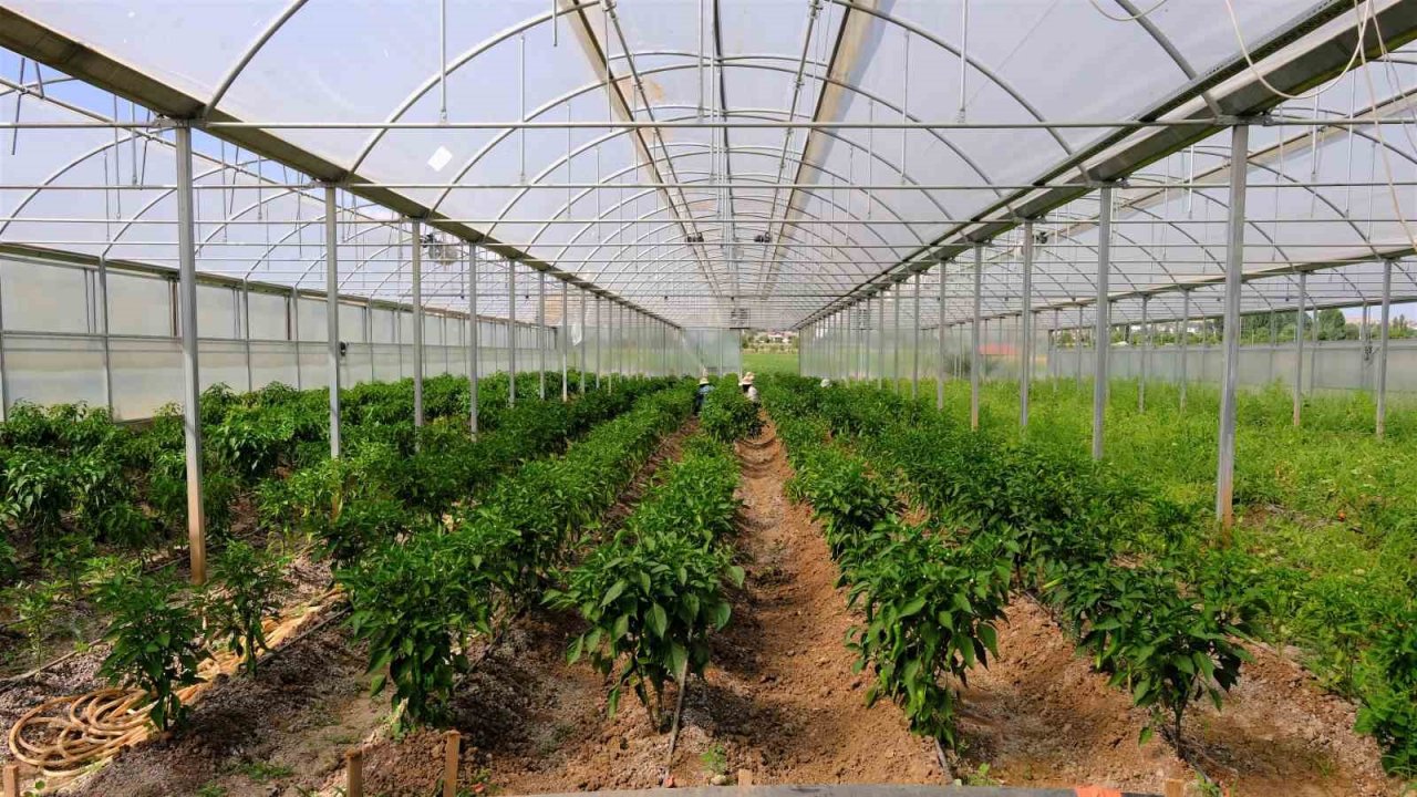 Akademik ürünlerin geliri öğrencilere burs oldu