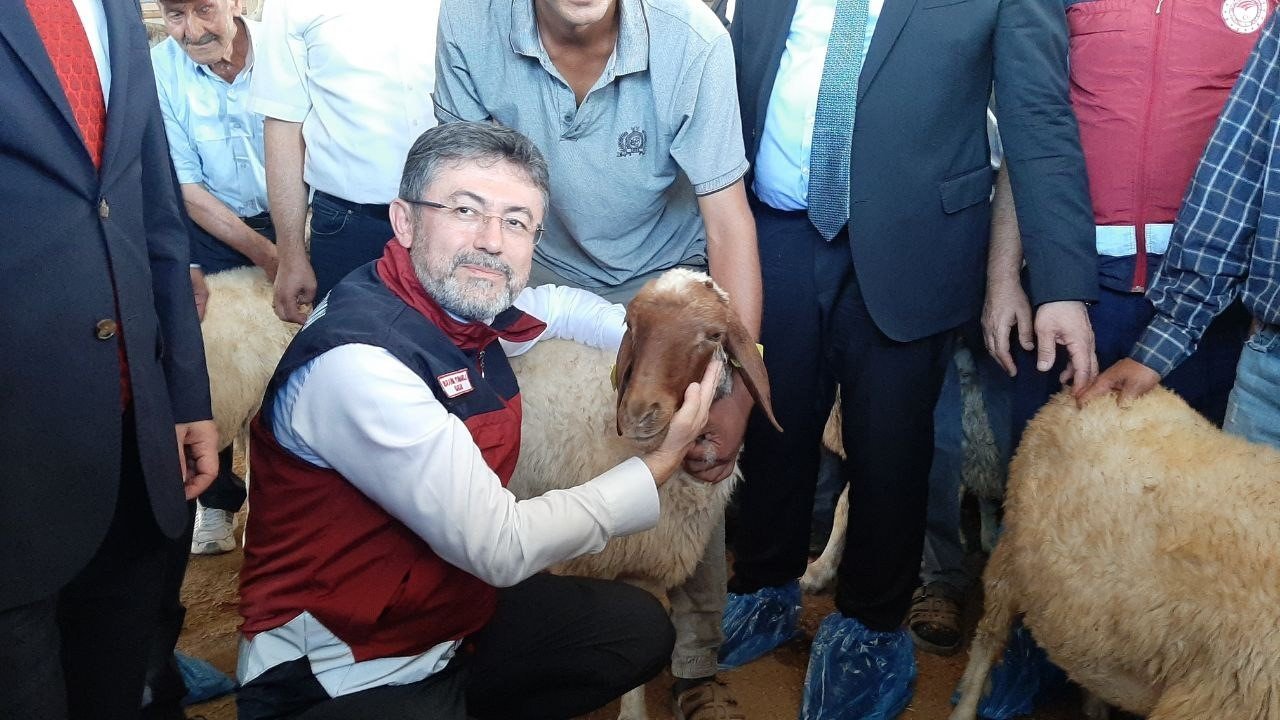 Bakan Yumaklı depremzedelere küçükbaş hayvan dağıttı