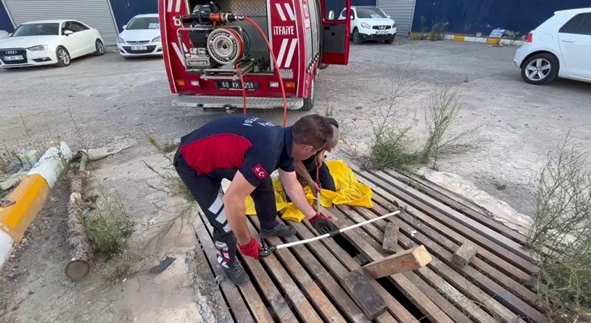 Mazgallara sıkışan kedileri itfaiye kurtardı
