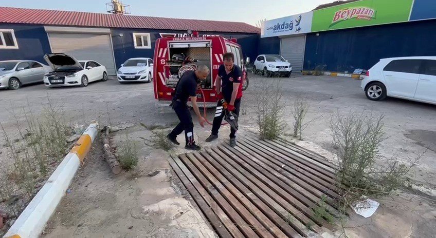 Mazgallara sıkışan kedileri itfaiye kurtardı