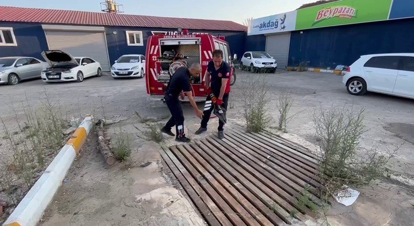 Mazgallara sıkışan kedileri itfaiye kurtardı